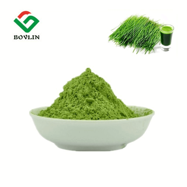 Bio-Weizengraspulver