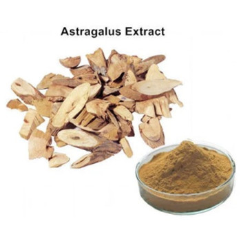 Bolinbio Featured Product-Astragalus Extract Astragalosid