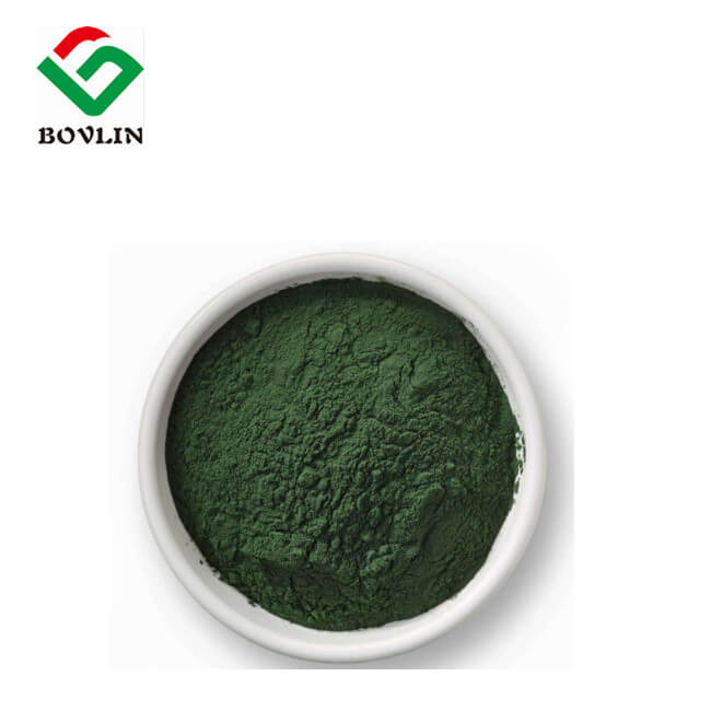 Chlorophyll-Pulver