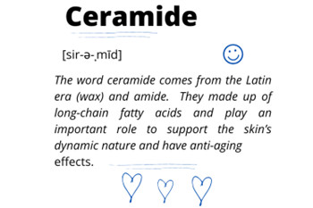 Was ist über Ceramide für Haut und Gesundheit zu wissen?