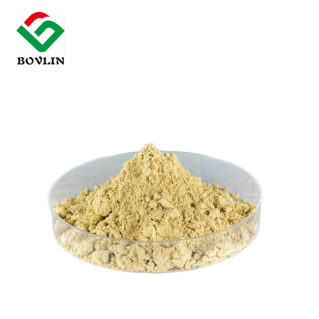 Ingwerextrakt Gingerol